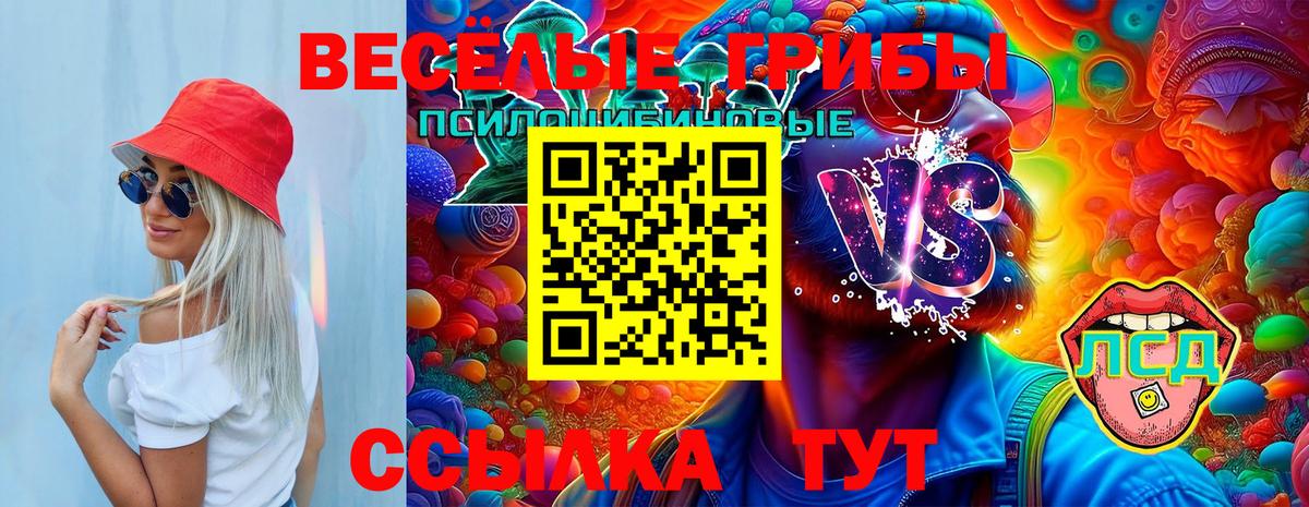 Курчатов  Галлюциногенные грибы Psilocybine cubensis  наркотики  Вход с VPN 