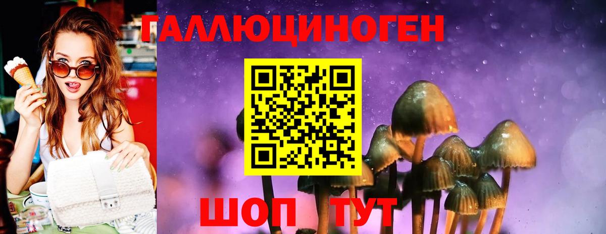 Псилоцибиновые грибы Magic Shrooms Курчатов