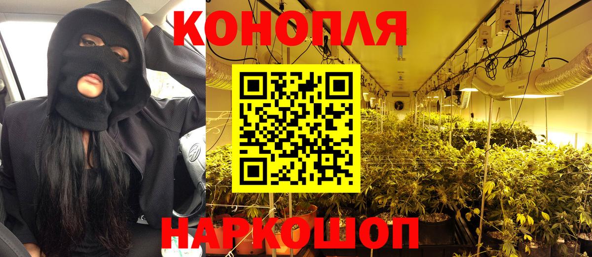 Шишки марихуана планчик  Канабис гибрид  Вход с VPN  Бошки Шишки Ganja  Курчатов 